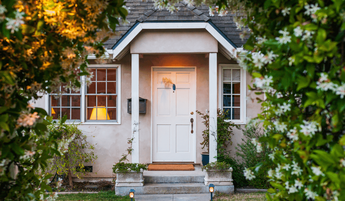 entry door image